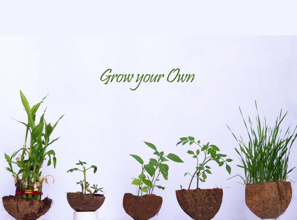 Grow_your_own