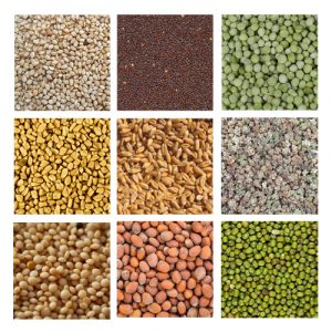 Microgreen-seeds